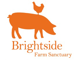 Brightsidee Farm Sanctuary Logo