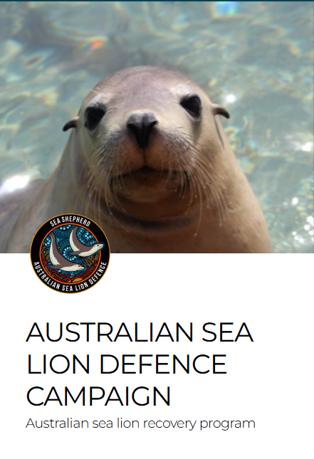 Sea Shepherd Pic